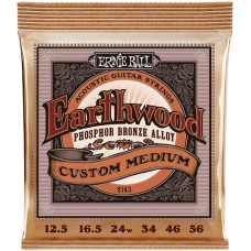 ERNIE BALL 2143 Earthwood Phosphor Bronze Custom Medium 12.5-56 - Струны для акустической гитары