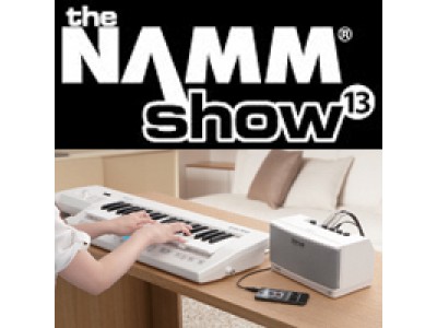 Что в год грядущий NAMM готовит: гитарные новинки от ROLAND