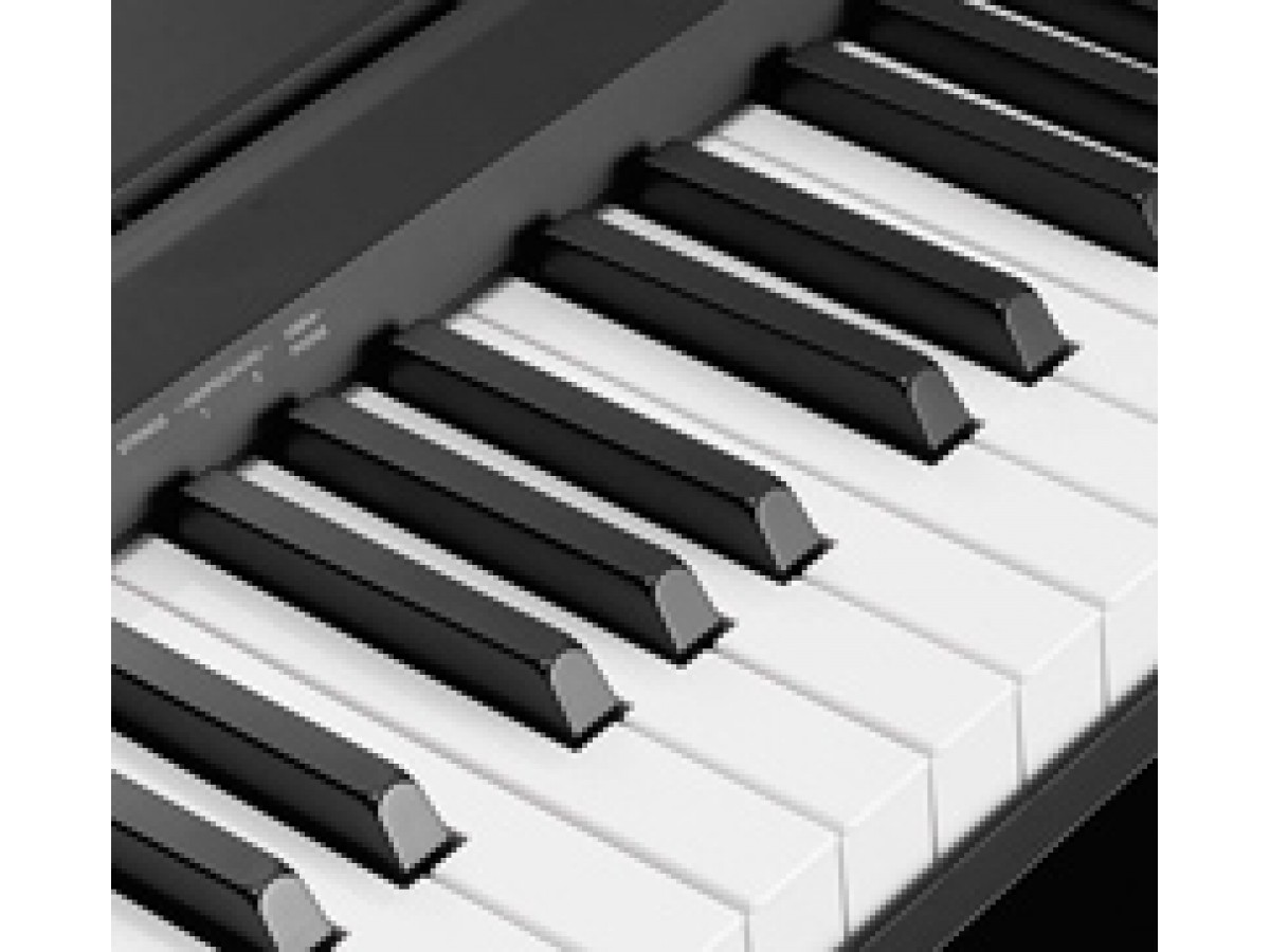 Поступление цифрового пианино YAMAHA P-35B