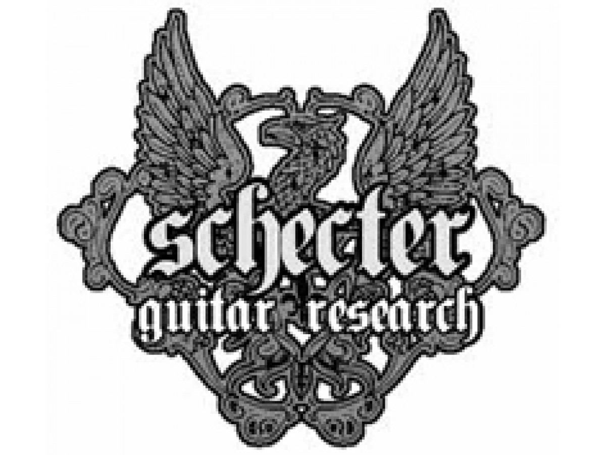 Поступление бас-гитар и электрогитар SCHECTER