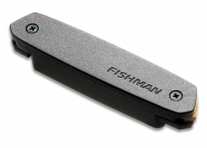 Fishman PRO-NEO-D01 Neo-D Гитарный магнитный звукосниматель, черный