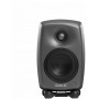 GENELEC 8020DPM  Monitor 8020D dark grey Монитор