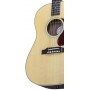 GIBSON LG-2 AMERICAN EAGLE ANTIQUE NATURAL - электроакустическая гитара с кейсом