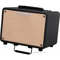 IBANEZ T30-U TROUBADOUR ACOUSTIC COMBO комбо для акустической гитары, 30вт