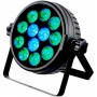 INVOLIGHT LEDPAR12HEX - светодиодный прожектор  RGBWA+UV 12шт. DMX-512, ИК-ДУ