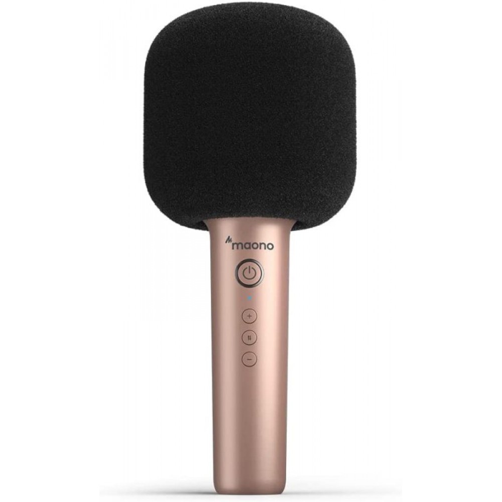 Microphone karaoké MKP100