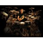 PROMARK PW747W - барабанные палочки Neil Peart