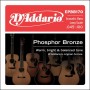 D'ADDARIO EPBB170 - струны для акустической бас-гитары