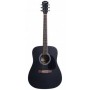 ROCKDALE SDN-BK DREADNOUGHT BLACK - акустическая гитара