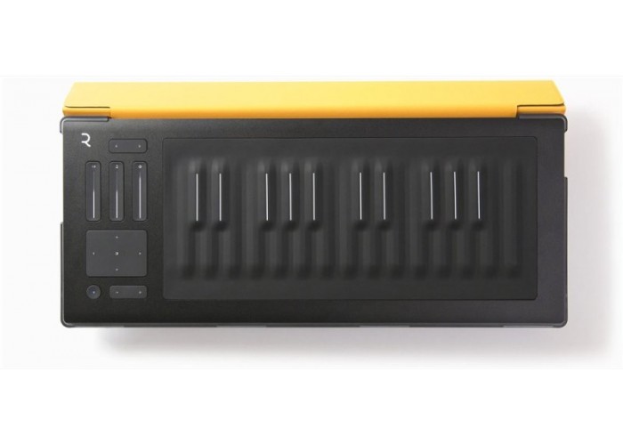 ROLI FLIPCASE AMBER защитный кейс для RISE 25, цвет AMBER